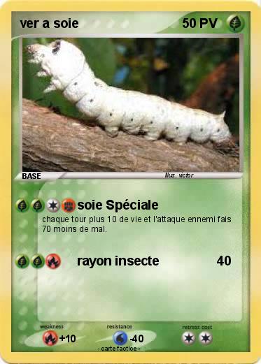 Pokemon ver a soie