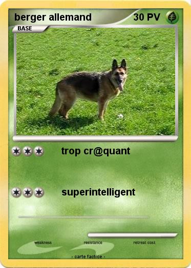 Pokemon berger allemand