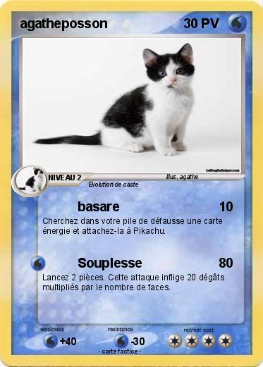 Pokemon agatheposson