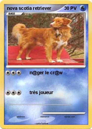 Pokemon nova scotia retriever