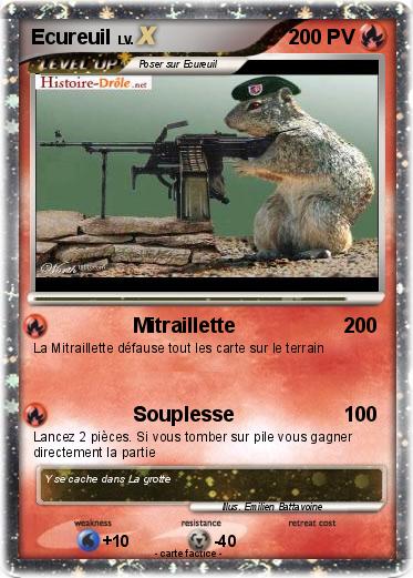 Pokemon Ecureuil