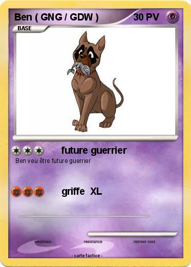 Pokemon Ben ( GNG / GDW )