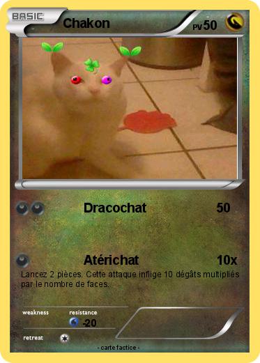 Pokemon Chakon