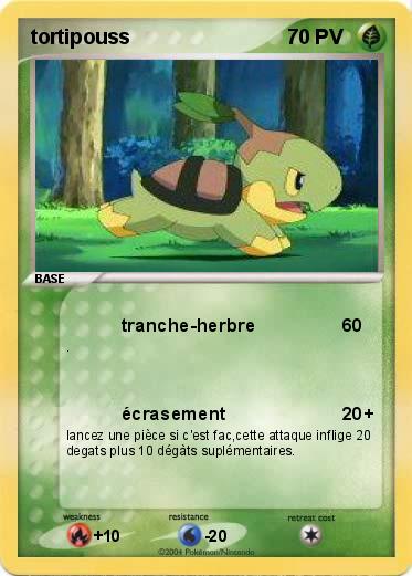 Pokemon tortipouss