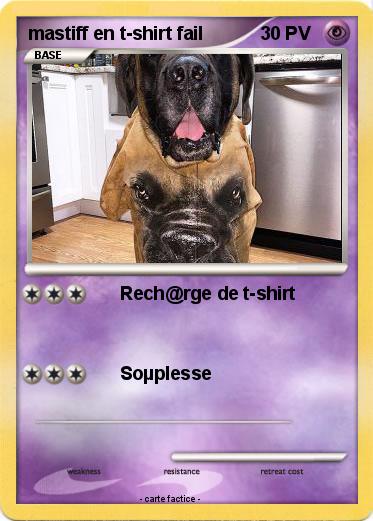 Pokemon mastiff en t-shirt fail