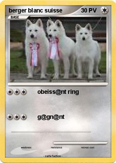 Pokemon berger blanc suisse