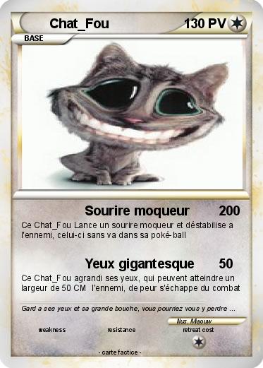 Pokemon Chat_Fou