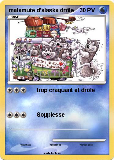 Pokemon malamute d'alaska drôle
