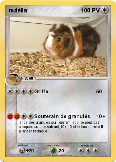 Pokemon nutélla