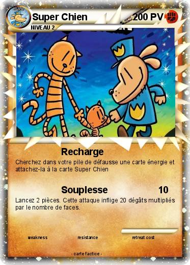 Pokemon Super Chien