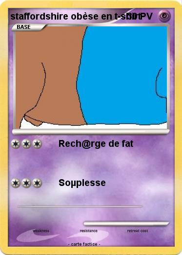 Pokemon staffordshire obèse en t-shirt