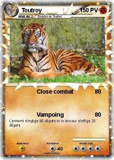 Pokemon Toutroy