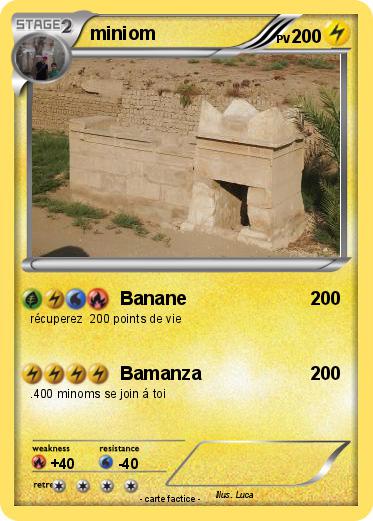 Pokemon miniom