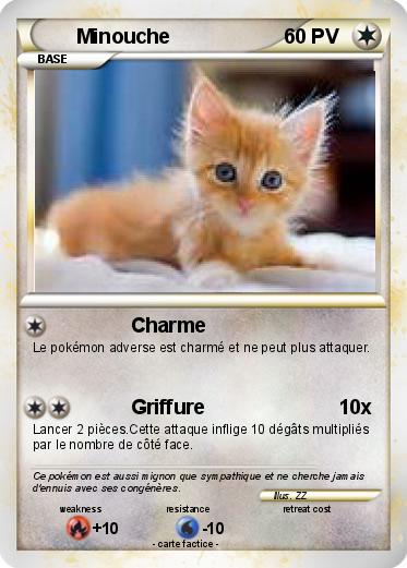 Pokemon Minouche