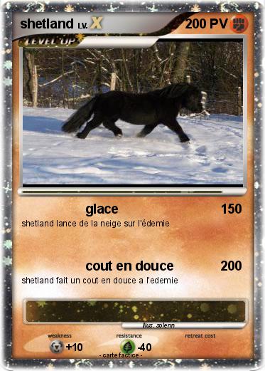 Pokemon shetland