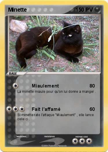 Pokemon Minette 
