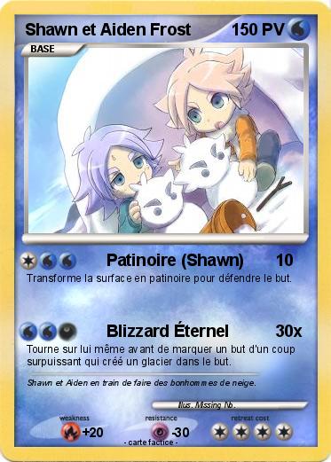 Pokemon Shawn et Aiden Frost