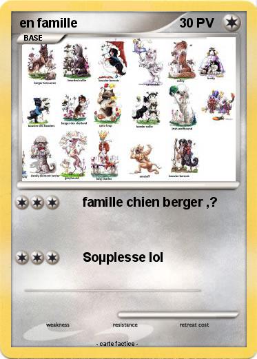 Pokemon en famille