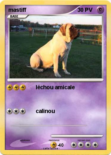 Pokemon mastiff