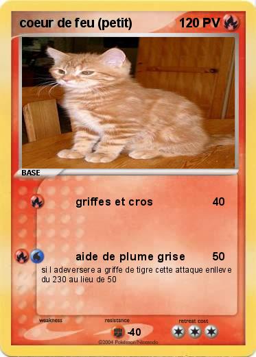 Pokemon coeur de feu (petit)