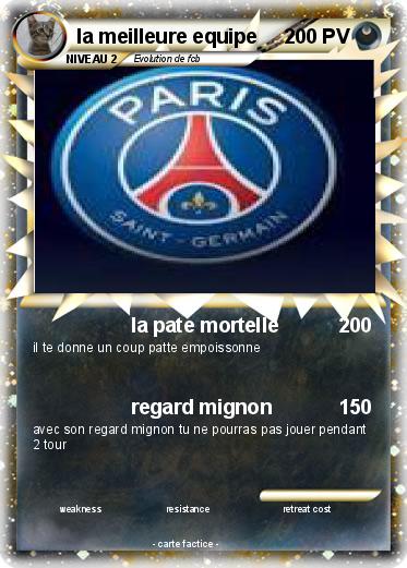 Pokemon la meilleure equipe