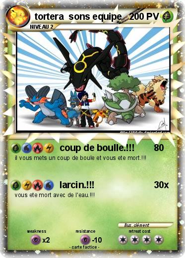 Pokemon tortera  sons equipe