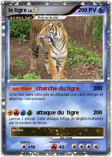 Pokemon le tigre