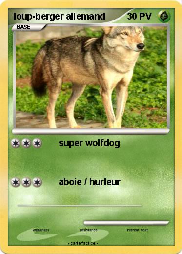 Pokemon loup-berger allemand