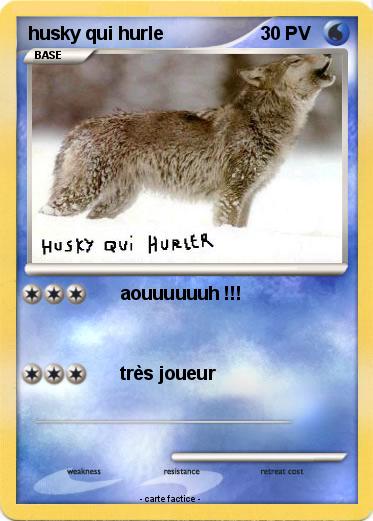 Pokemon husky qui hurle