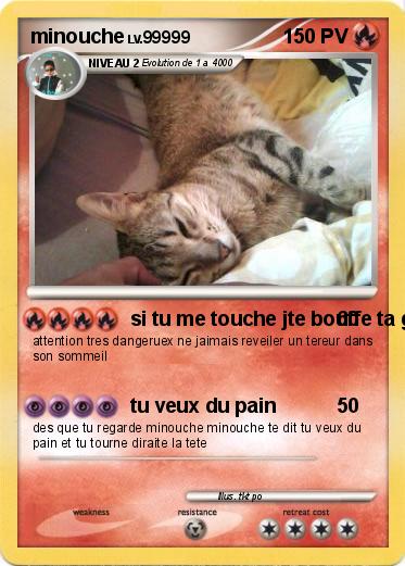 Pokemon minouche