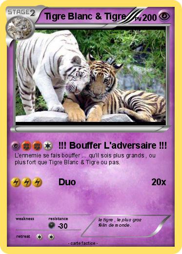Pokemon Tigre Blanc & Tigre