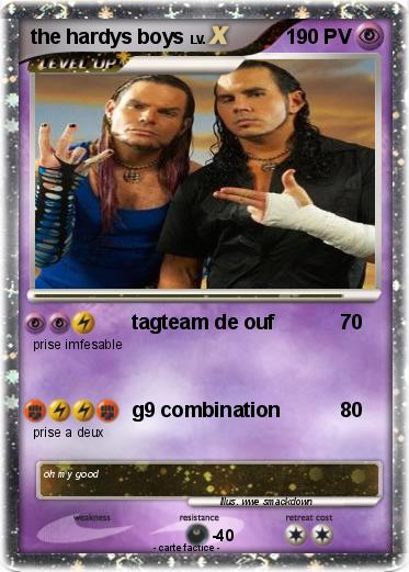 Pokemon the hardys boys