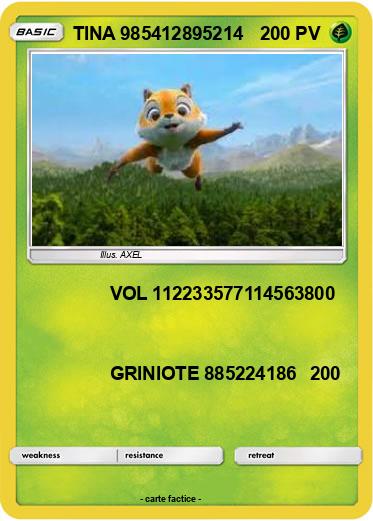 Pokemon TINA 985412895214