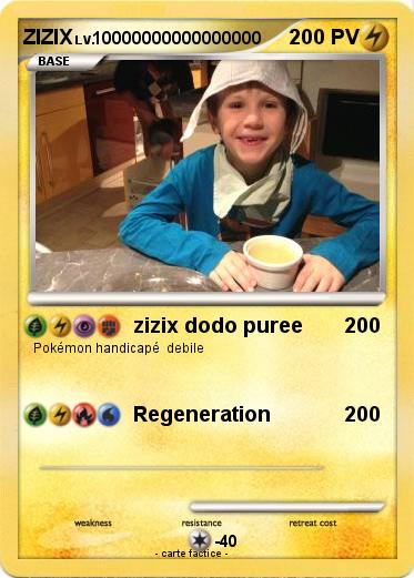 Pokemon ZIZIX