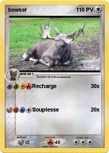 Pokemon bowser