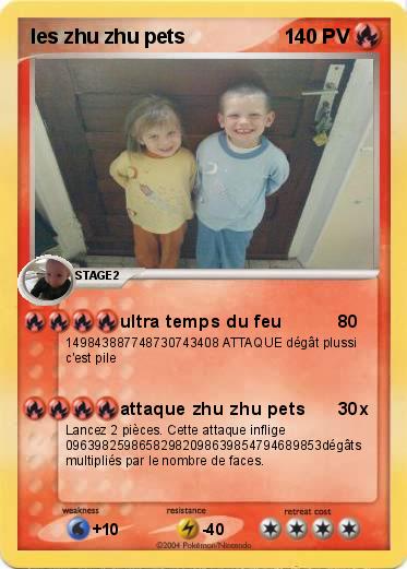 Pokemon les zhu zhu pets