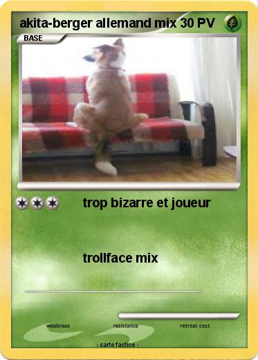 Pokemon akita-berger allemand mix