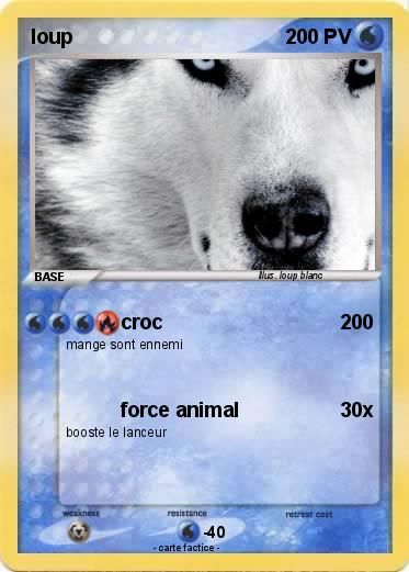 Pokemon loup