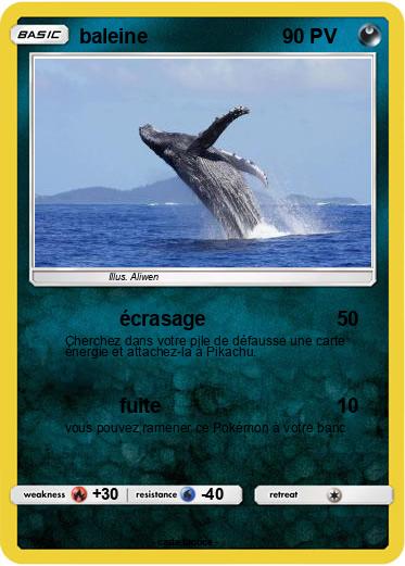 Pokemon baleine