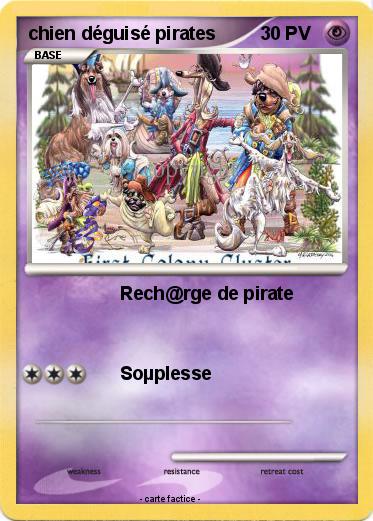 Pokemon chien déguisé pirates