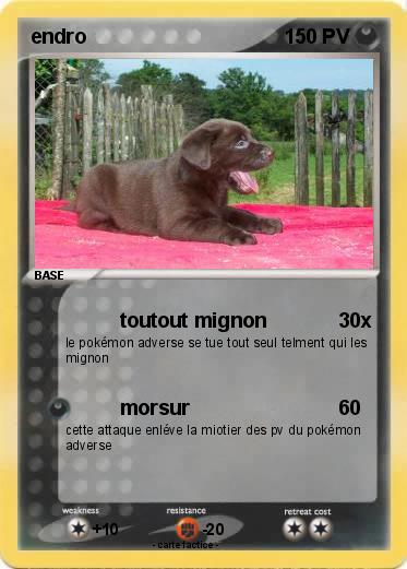 Pokemon endro