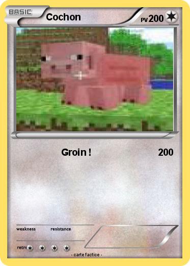 Pokemon Cochon