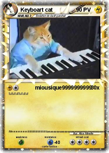 Pokemon Keyboart cat