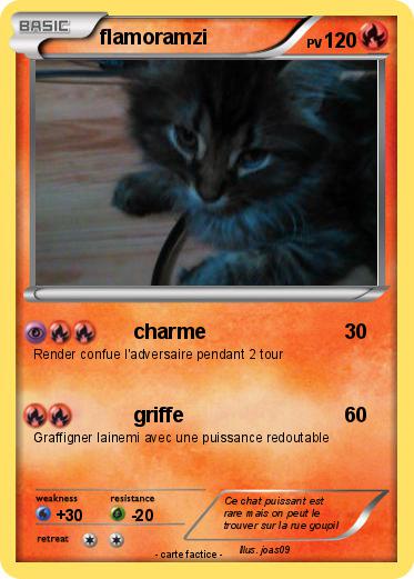 Pokemon flamoramzi