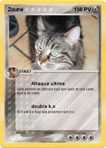 Pokemon Zouné
