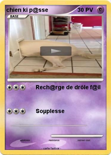 Pokemon chien ki p@sse