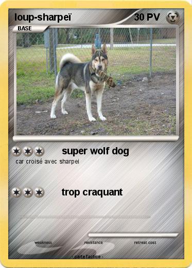 Pokemon loup-sharpeï