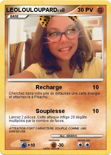 Pokemon LEOLOULOUPARD
