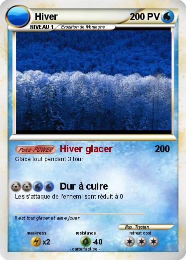 Pokemon Hiver