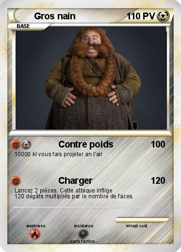 Pokemon Gros nain